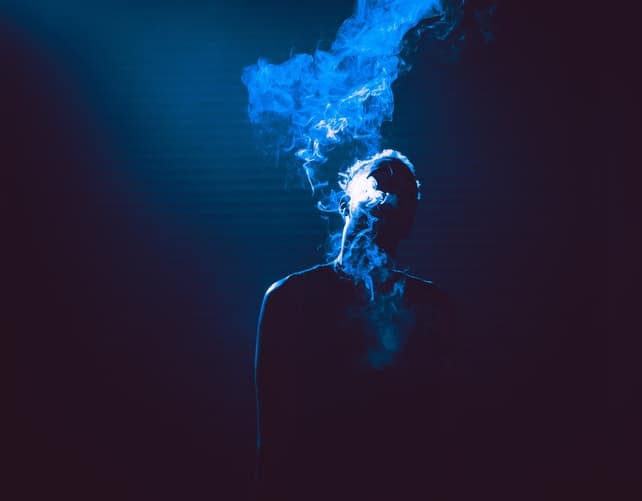 TOP 10 LUCID DREAM HERBS